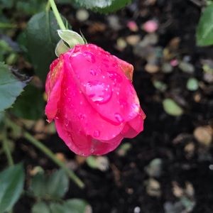 Meet your Posher, Gavin